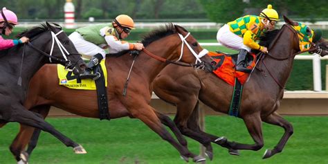 Trifecta Betting Strategies – Keys to Profitable .